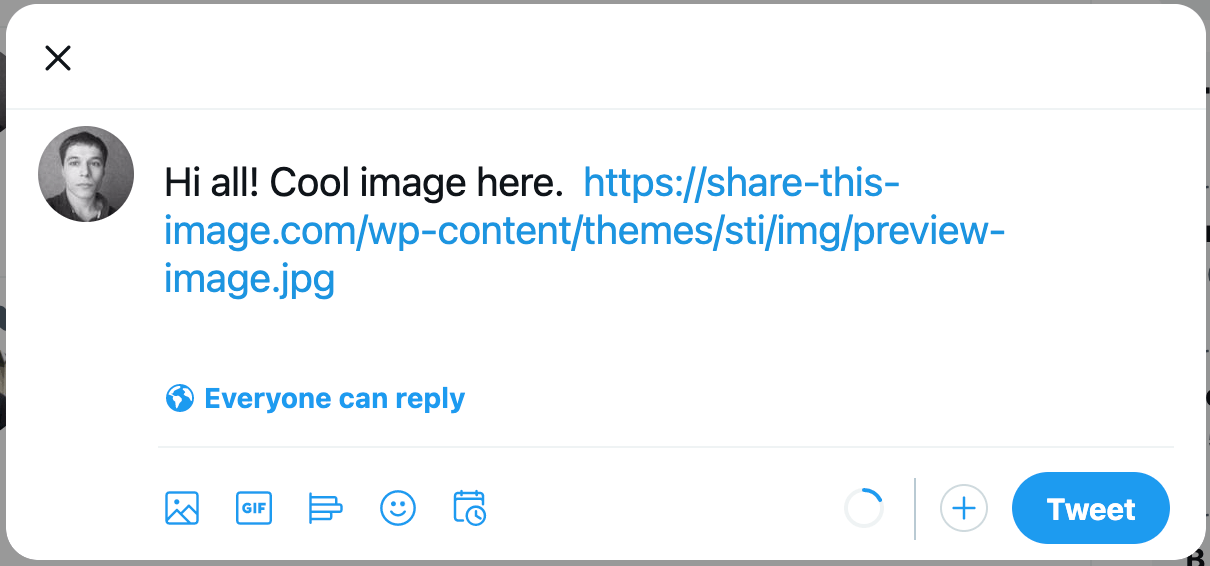 Twitter sharing with custom content